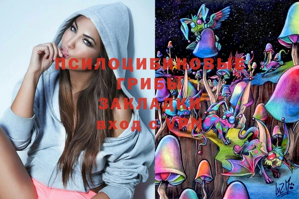 твердый Алексин