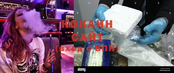дживик Алзамай