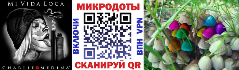 Псилоцибиновые грибы мицелий  Лаишево 