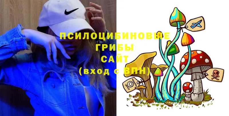 mega ССЫЛКА  Лаишево  Галлюциногенные грибы Psilocybe 